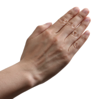 hand2.png