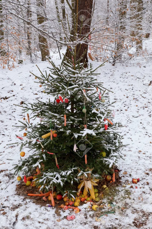 93779714-weihnachtsbaum-für-tiere-im-wald.webp