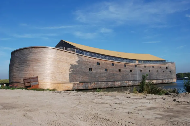 Hollaender-zimmert-moderne-Arche-Noah.webp