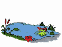 animiertes-frosch-bild-0020.gif