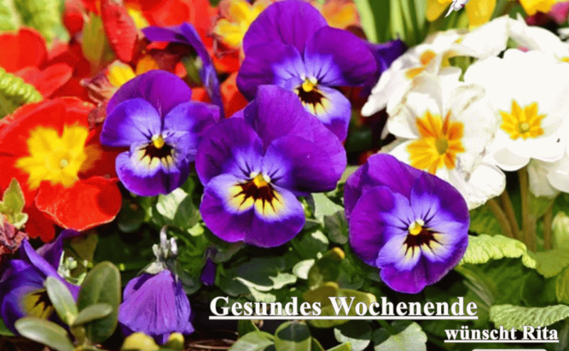 Wochenende  Frühling 2.gif