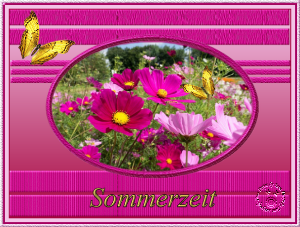 Sommerbild Cosmea Juli 2024 .png