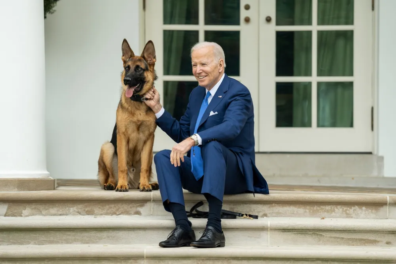 joe-biden-commander-hund-bild.webp