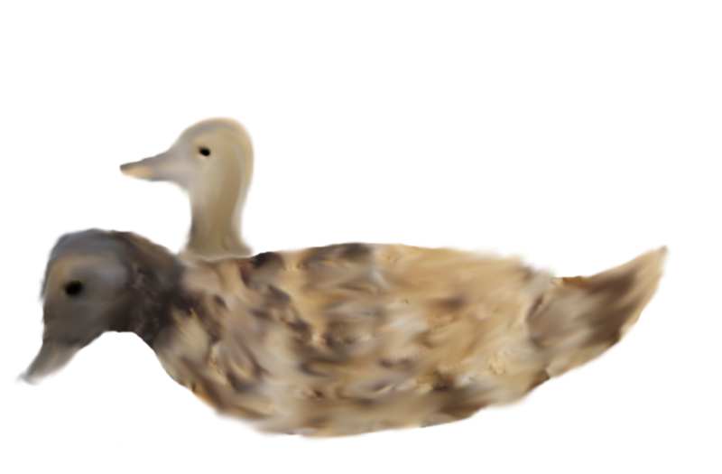 2015 09 30_0738 2-cutout Stein-Enten 7.png