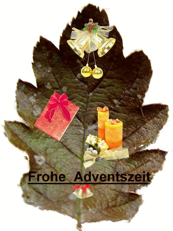 Adventsblatt 5.gif