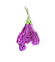 Blume als Lampe-cutout.png