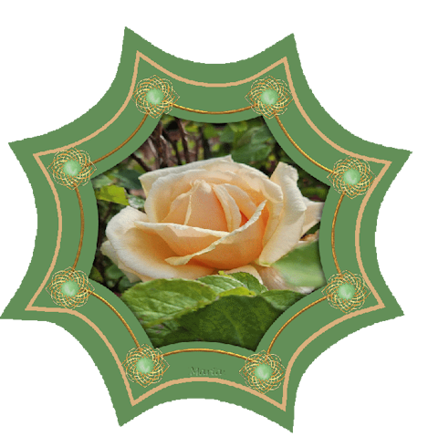 22-August- Rose-Rahmen- neu1.png