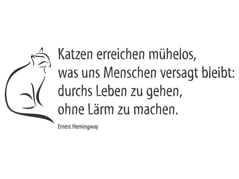 290_1_wandtattoo_katzen_erreichen_muehelos.gif