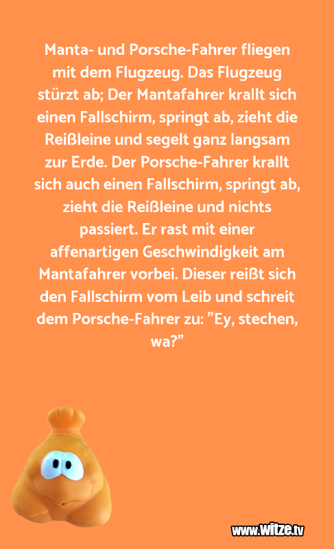 Manta-und-Porsche-Fahrer-fliegen.png