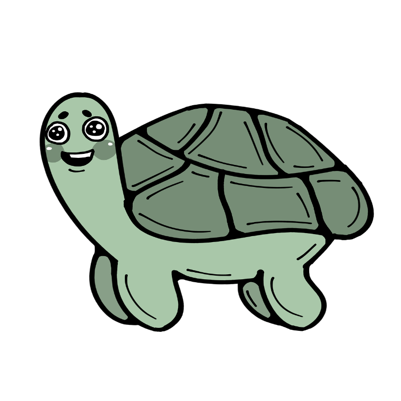 turtle-7111275_1280.webp