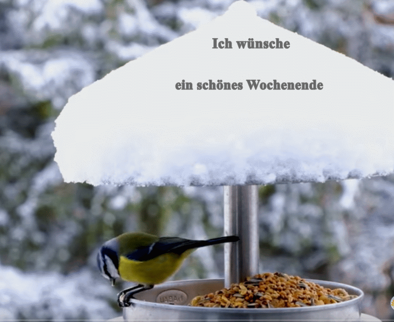 1 Wochenende.gif