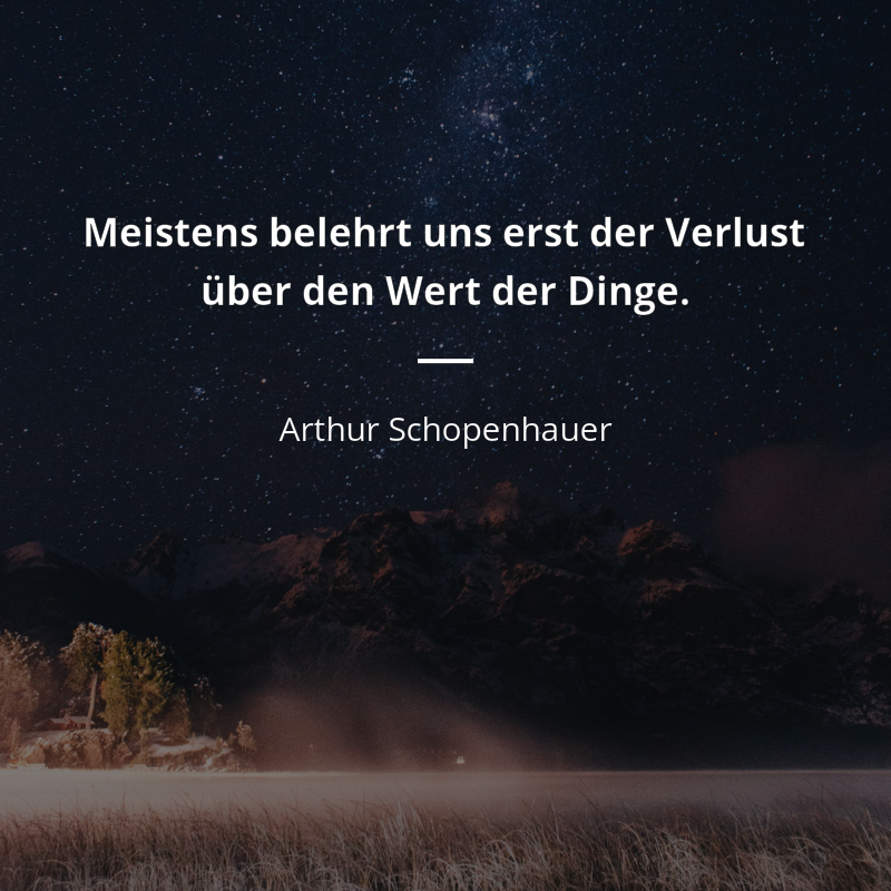 125035-arthur-schopenhauer-bilder-mit-zitate-meistens-belehrt-uns-erst-der-_IF8sCs7.png