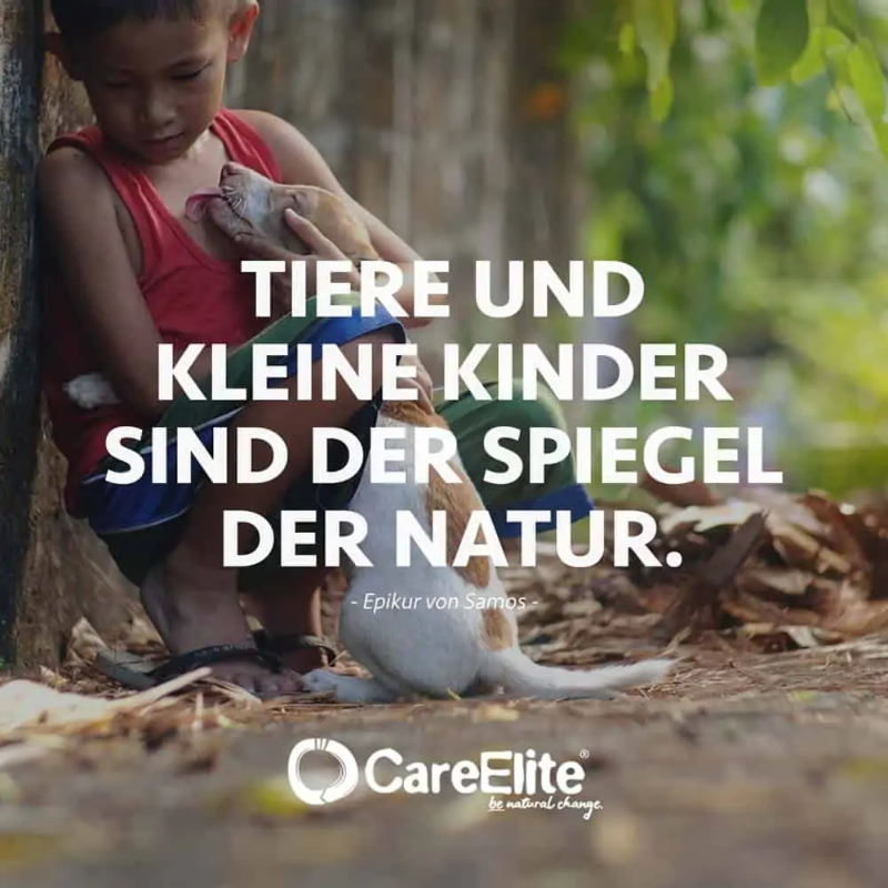 natur-zitat-natuerlich-kinder-tiere.webp