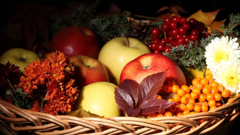 wallpaper-herbst-obst.webp