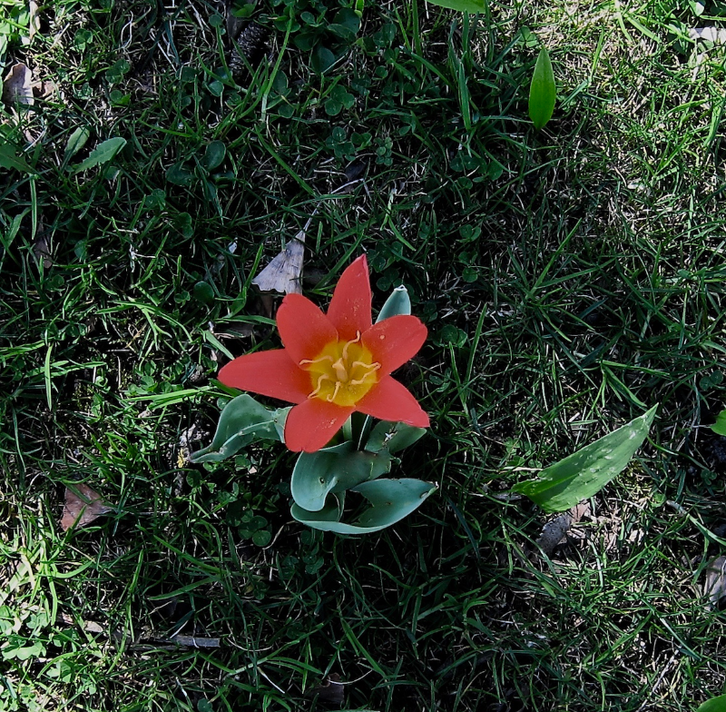 Bildschirmfoto 2022-04-18 um 07.25.27.png