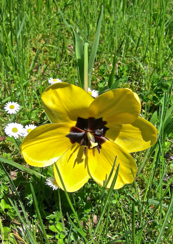 Bildschirmfoto 2022-04-23 um 08.53.18.png