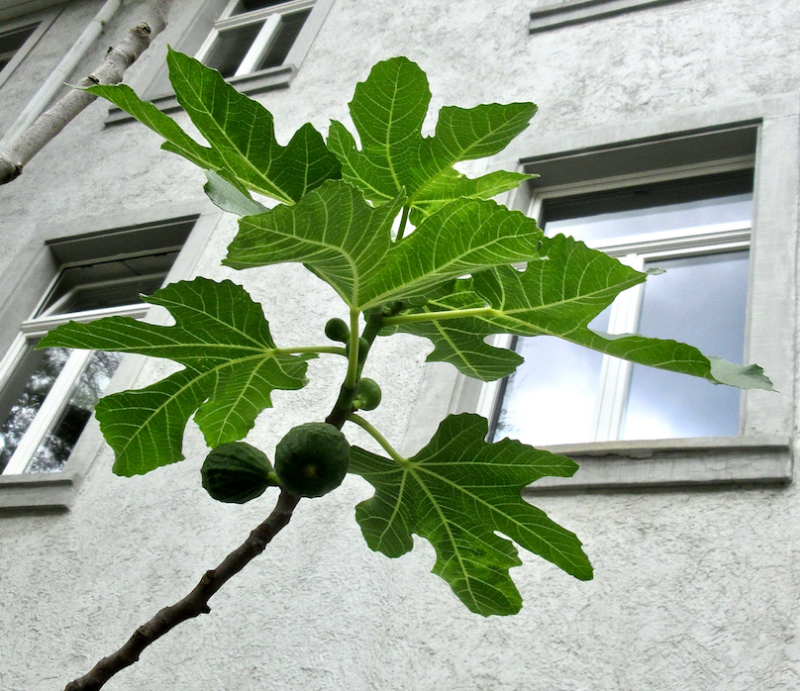 Bildschirmfoto 2022-06-16 um 08.28.29.png