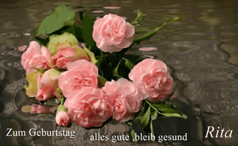 zz Geburstag- neu.gif