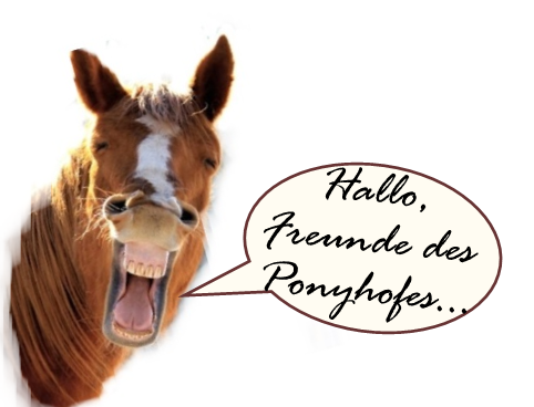 Hallo_Caballo.png