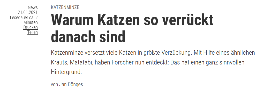 https://www.spektrum.de/news/katzenminze-warum-katzen-so-verrueckt-danach-sind/1821479?utm_source=pocket-newtab-global-de-DE