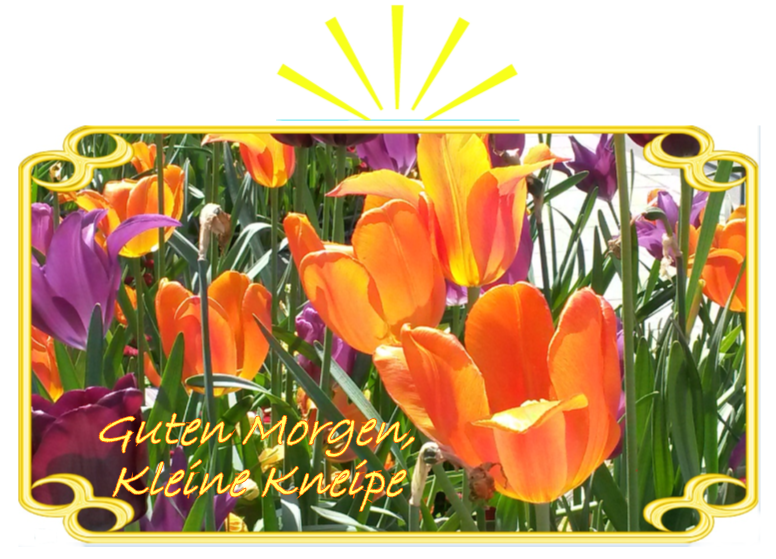 KK Morgen Tulpen.png