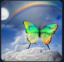 craiyon_200559_butterfly_Surrealismus_Rainbow_and_night_fantasy_br_1.png