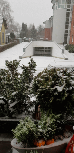 schnee...gif