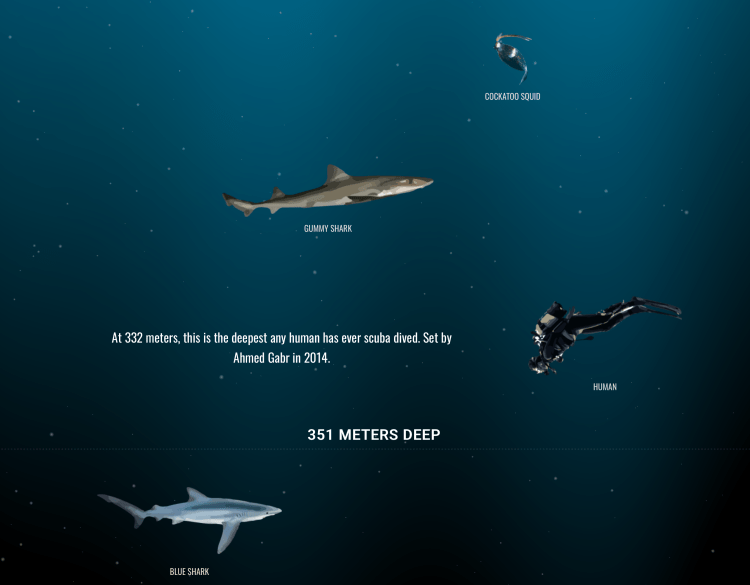 The-Deep-Sea.png