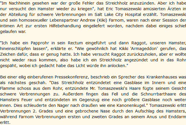 Screenshot_2020-09-13 Das brennende Hamstergeschoss - Lustigestories de.png