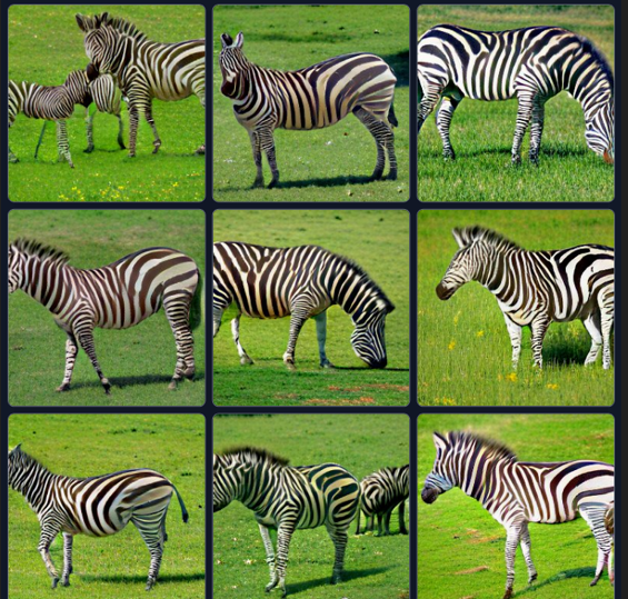 zebra auf der wiede.PNG