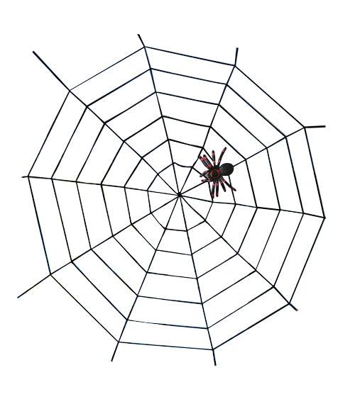 GrossesSeil-Spinnennetz-spinne_600x600.png