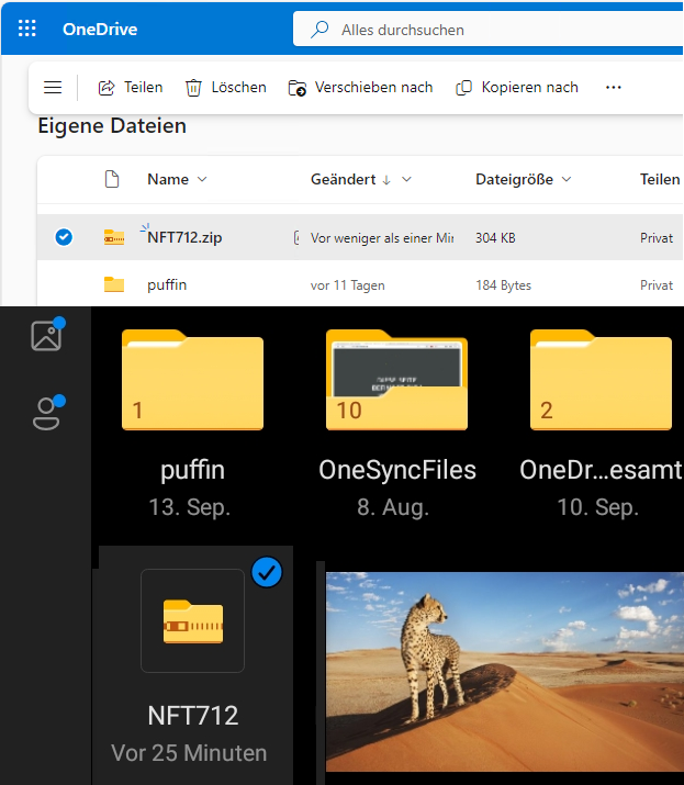 inonedrive2.png