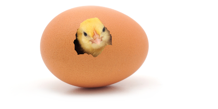 baby-chicken-in-egg2 (1).png