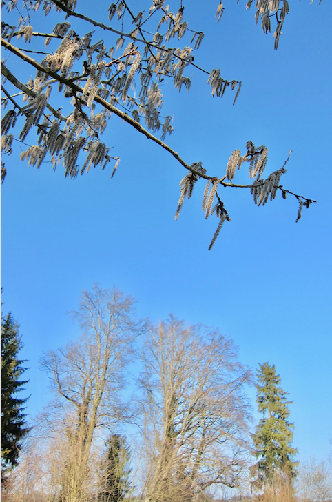 Bildschirmfoto 2019-04-03 um 08.04.34.png