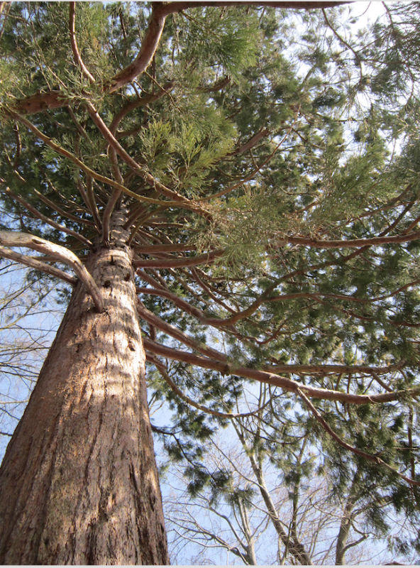 Bildschirmfoto 2019-04-05 um 07.12.57.png