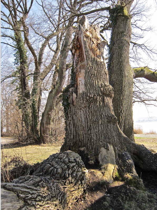 Bildschirmfoto 2019-04-07 um 17.25.38.png