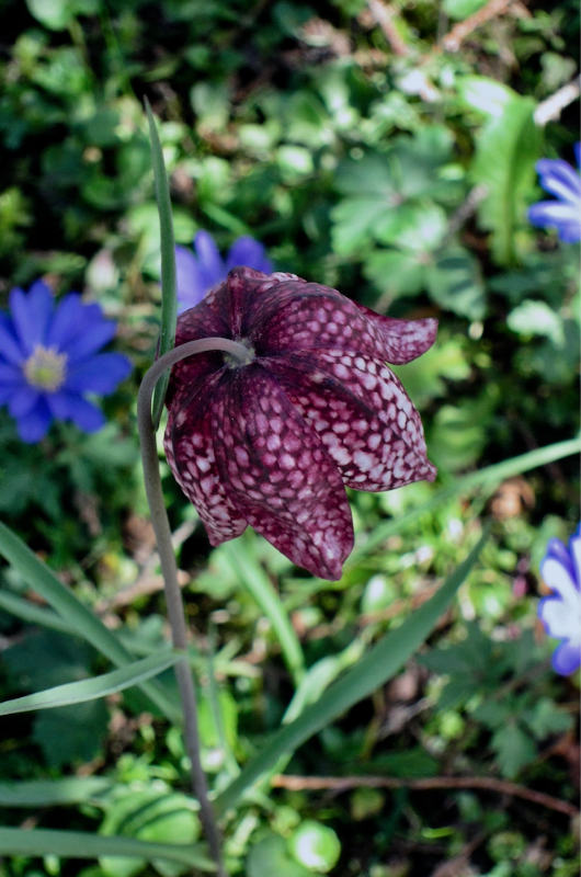 Bildschirmfoto 2019-04-14 um 17.39.06.png