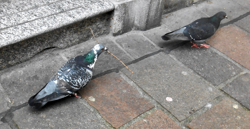 Bildschirmfoto 2019-05-11 um 19.44.08.png