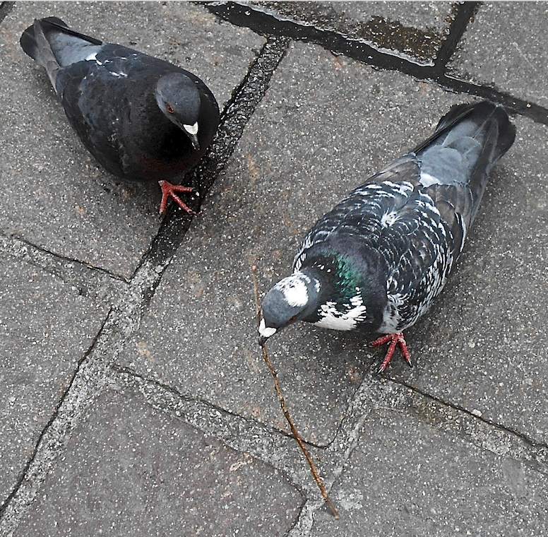 Bildschirmfoto 2019-05-11 um 19.42.52.png