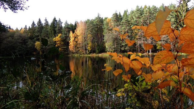 herbstsee.png