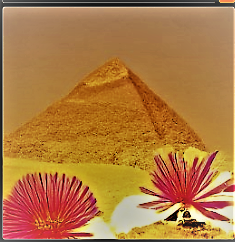 craiyon_090108_flower_at_pyramid_in_egyp_br_.png