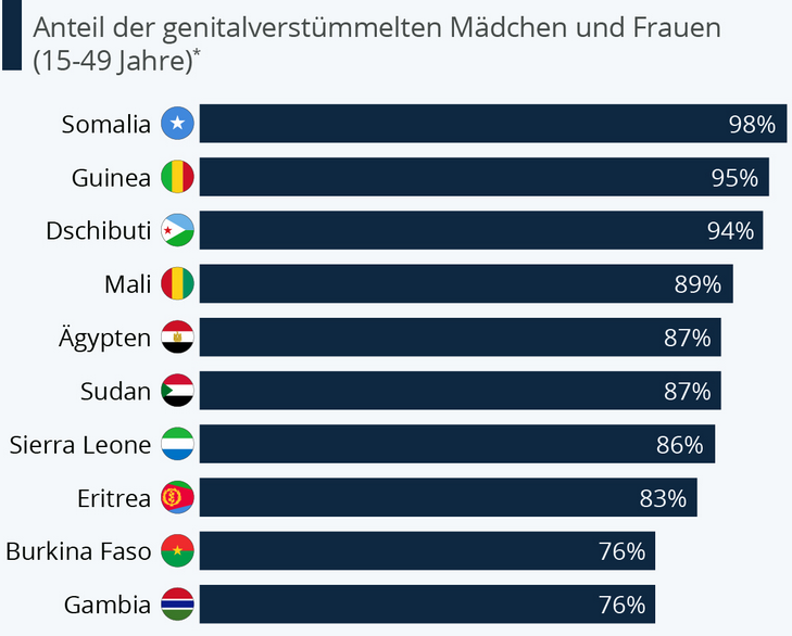 Screenshot 2023-05-04 at 18-43-05 Immer mehr Frauen betroffen - Wie Deutschland mit weiblicher Genitalverstümmelung umgeht.png