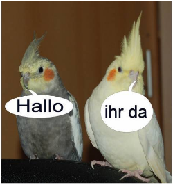 fridolin-und-tweety.png