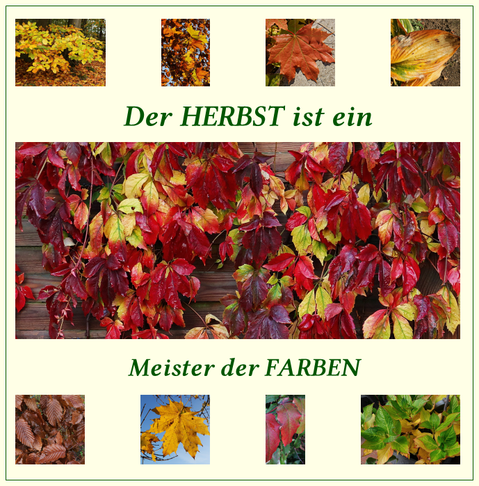 collage Herbst.png