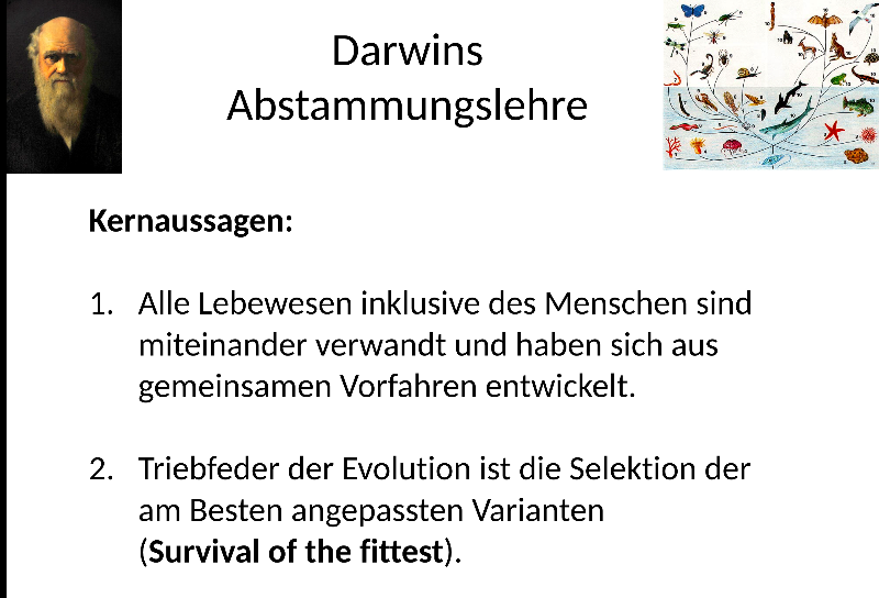 01. Kernaussagen_Darwin.png