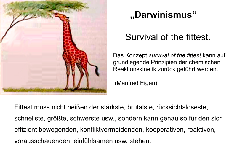 02. darwinismus.png