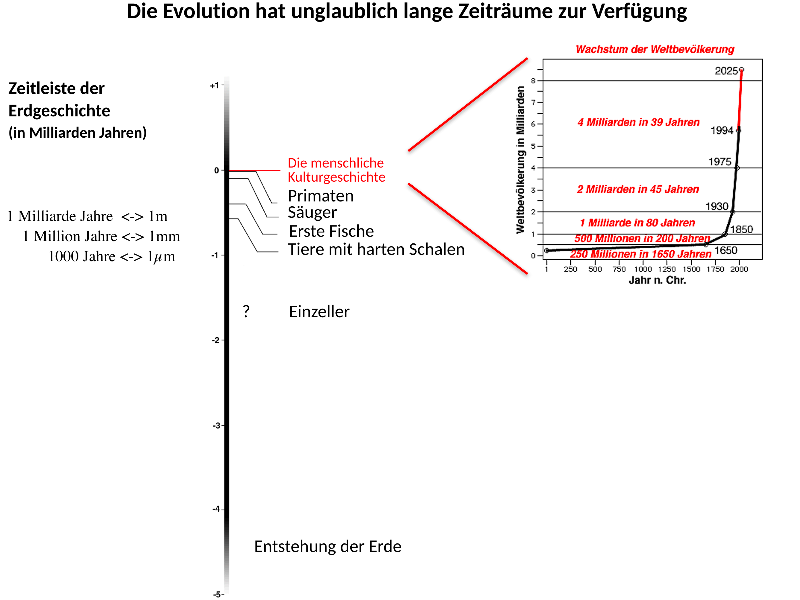 03. Zeitskala.png