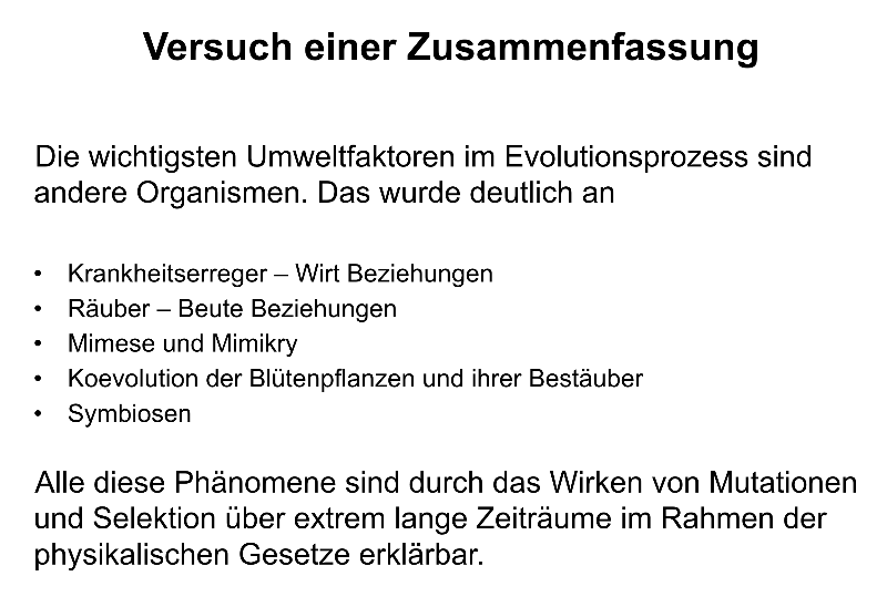 Zusammenfassung.png