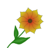 sonnenblume.png