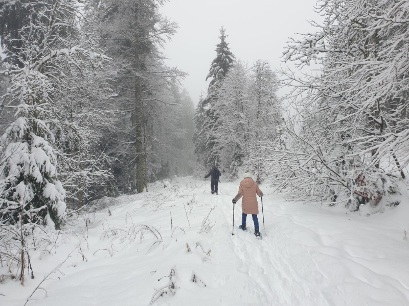 schneeschugwanderung.png